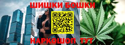 гашик Будённовск