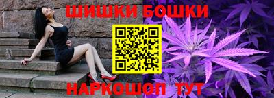 гашик Будённовск