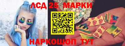 гашик Будённовск