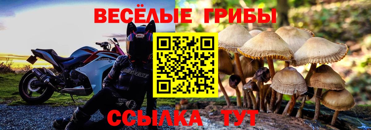 Псилоцибиновые грибы Psilocybine cubensis  Вход с VPN  Первоуральск 